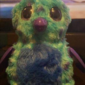 A Hatchimals for kid